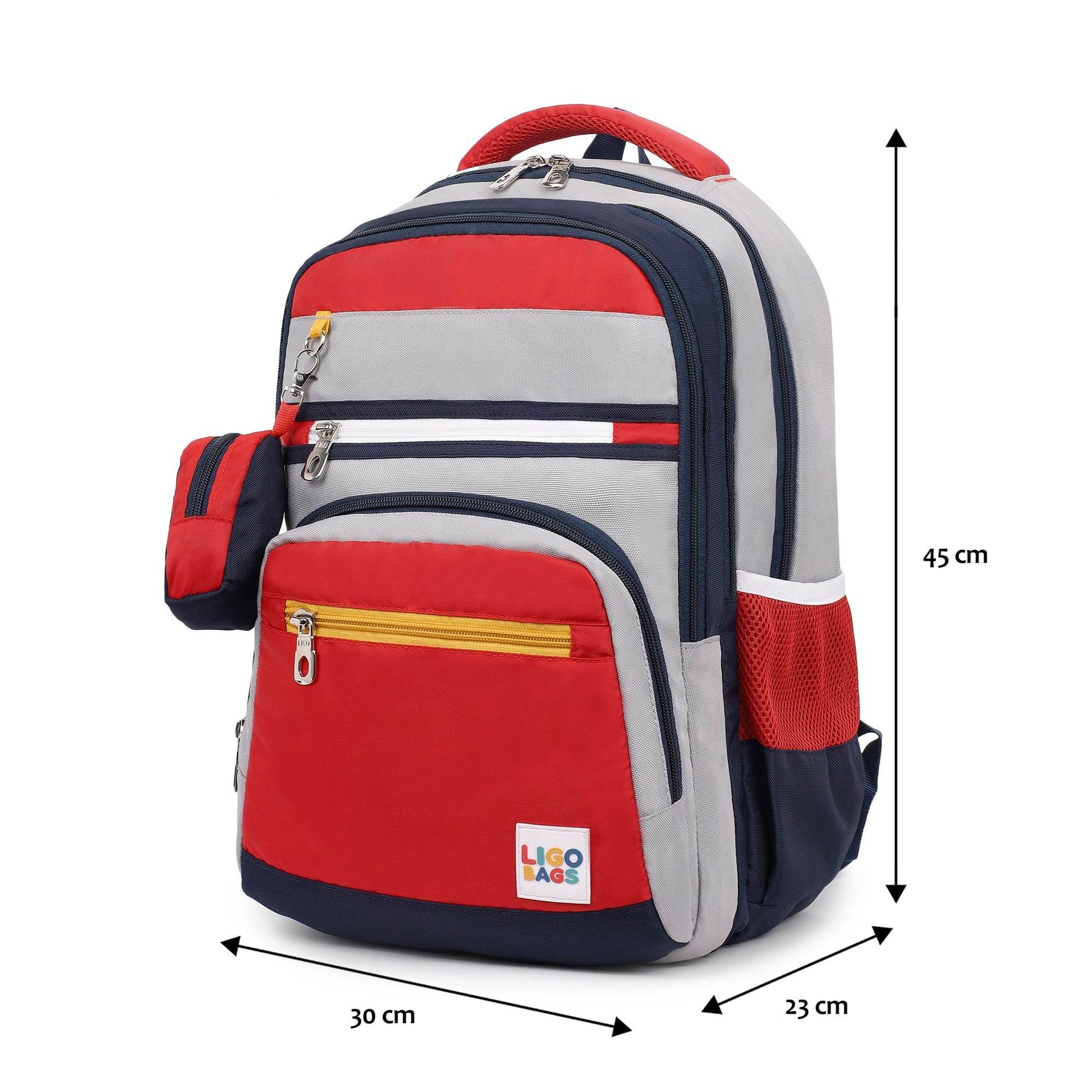 Ligo Fusion backpack