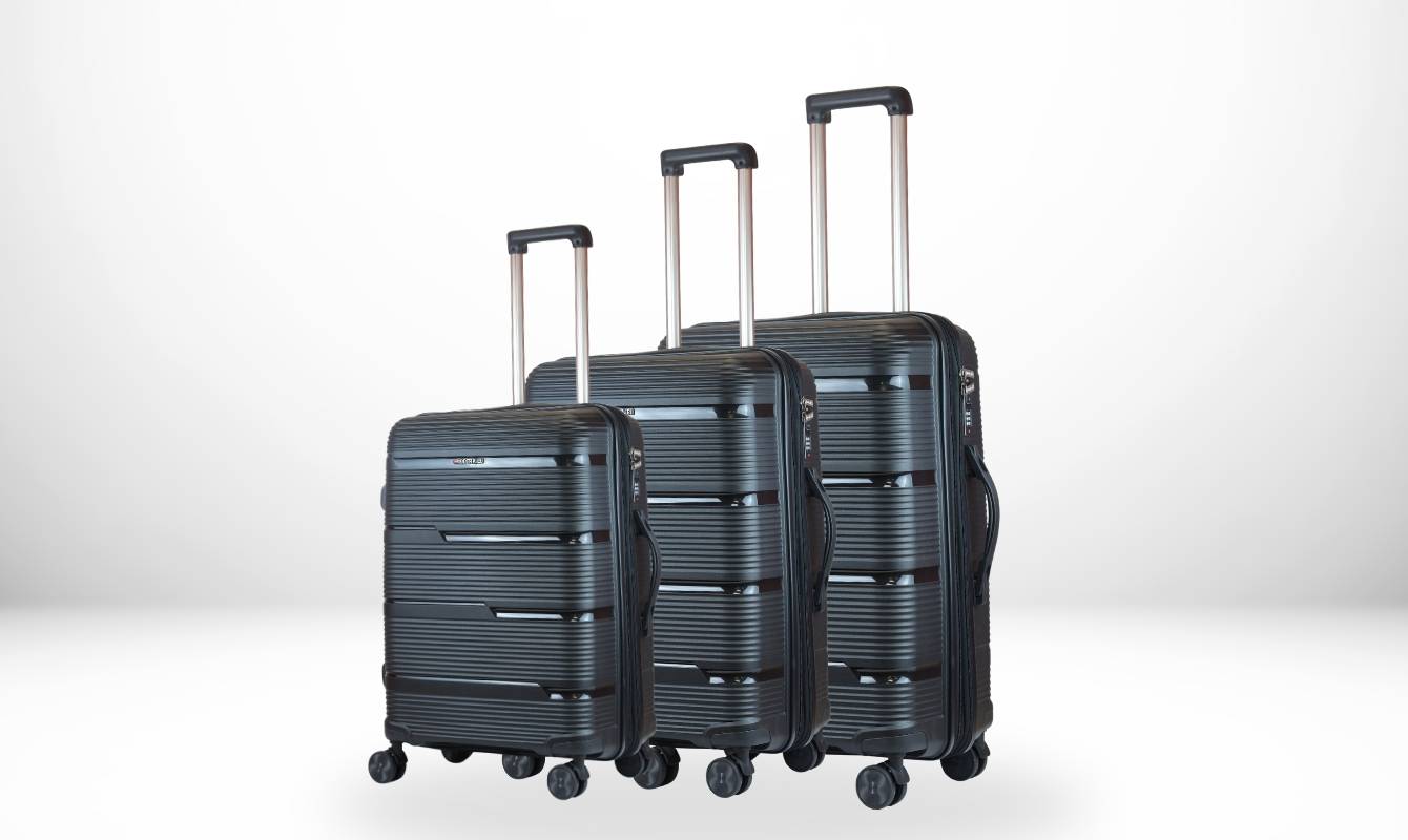 LIGO NOVA SET OF 3