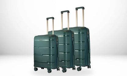 LIGO NOVA SET OF 3